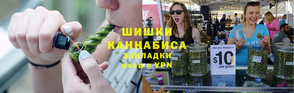 apvp Бородино
