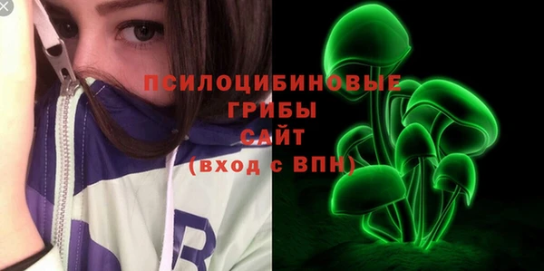 герыч Верхний Тагил