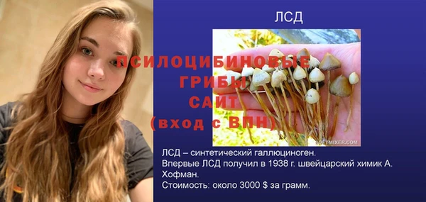 герыч Верхний Тагил
