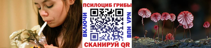 Псилоцибиновые грибы MAGIC MUSHROOMS Вятские Поляны