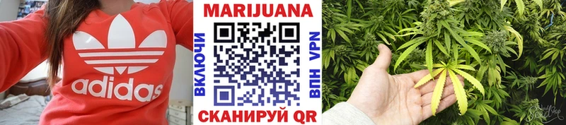 наркота  Вятские Поляны  Конопля сатива 